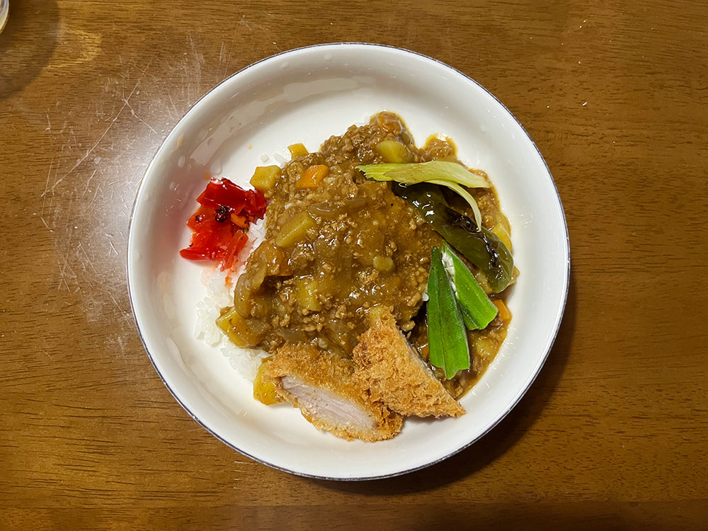 挽肉カレーwith夏野菜とカツ